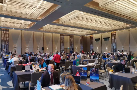 İntergenç- Macaristan ve Çekya'da Tıp Eğitimi