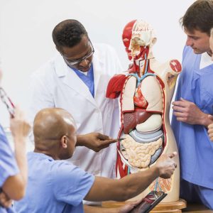 Yurt Dışında Tıp Eğitimi- İntergenç Yurtdışı Eğitim